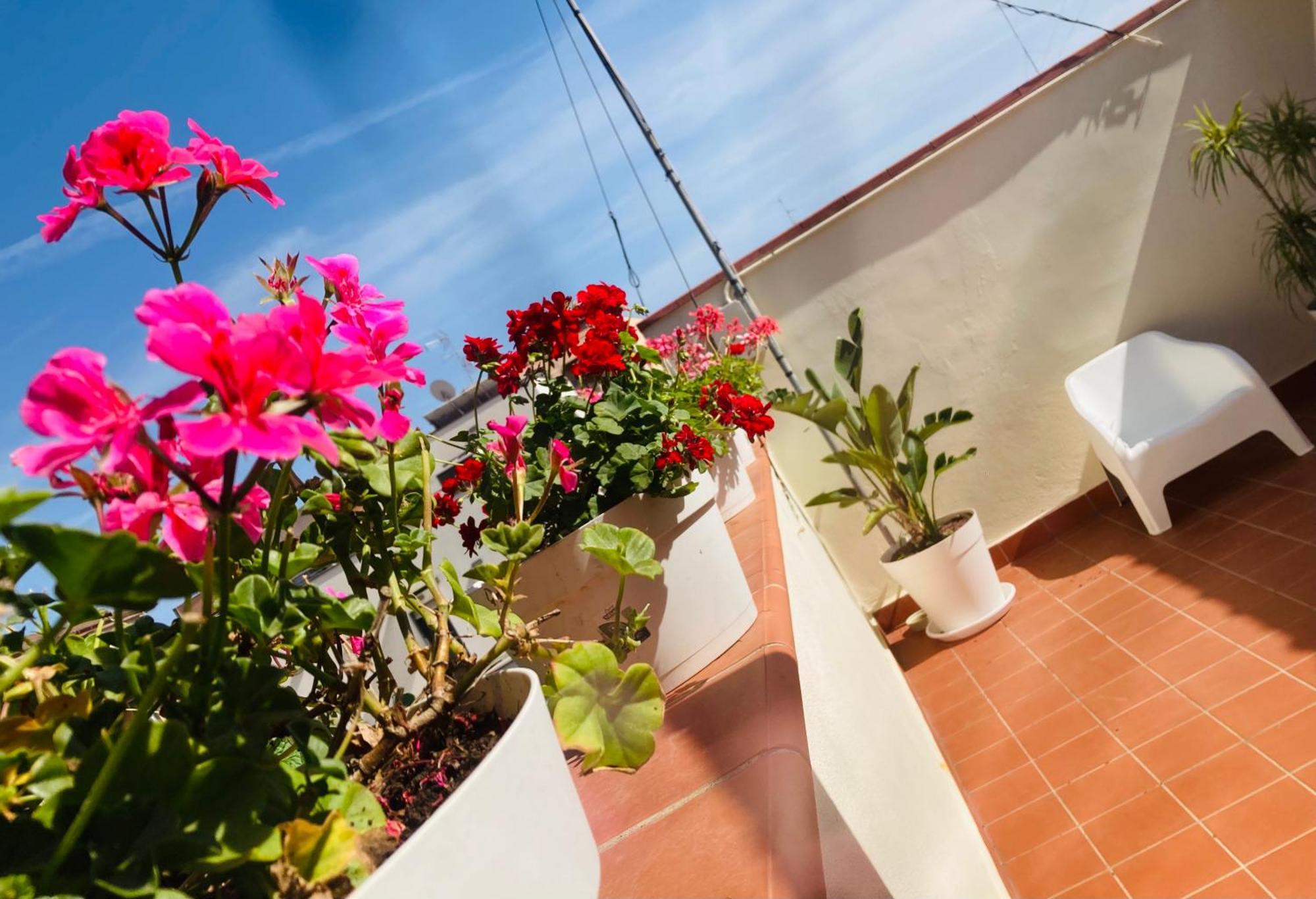 Lavica Di Mezzo Apartments カターニア エクステリア 写真